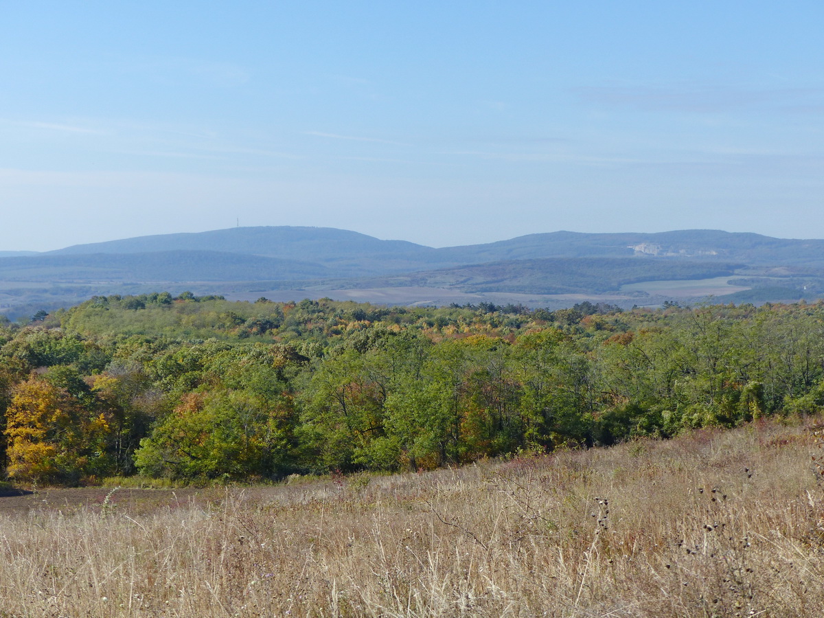 A távolban balra feltűnt a Gerecse névadó, legmagasabb hegye, a Gerecse-tető (Nagy-Gerecse) is
