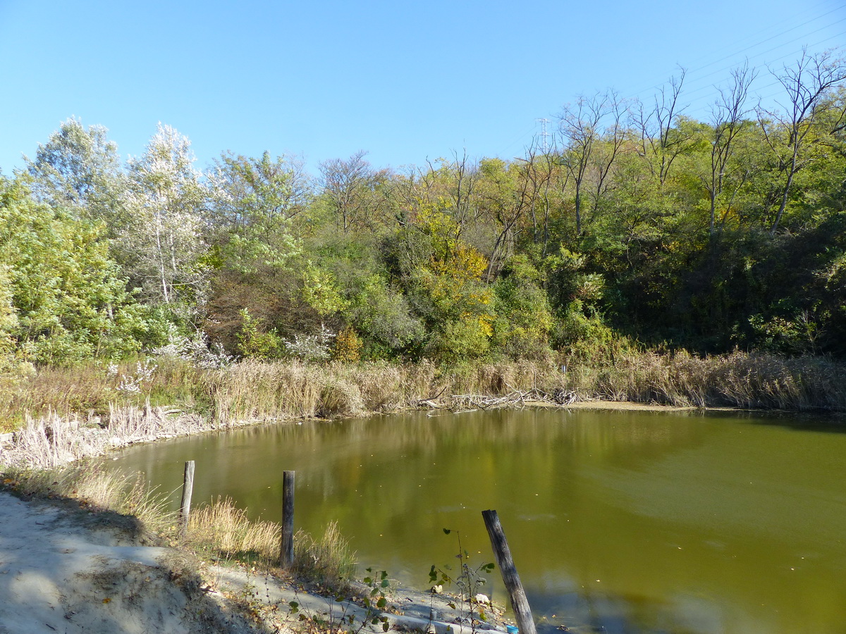 A Miklósbereki-horgásztó