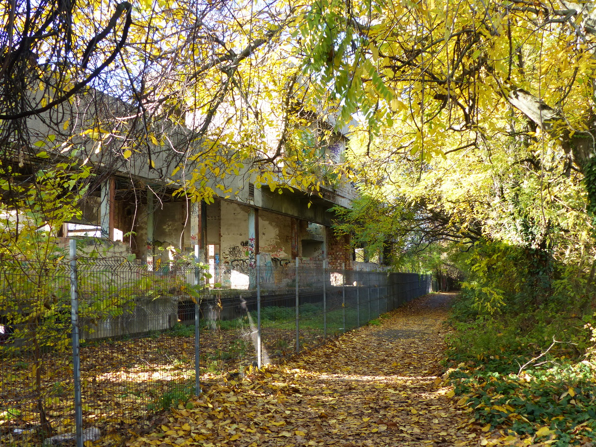 Régi, félig lebontott gyárépületek bújnak meg a fák között