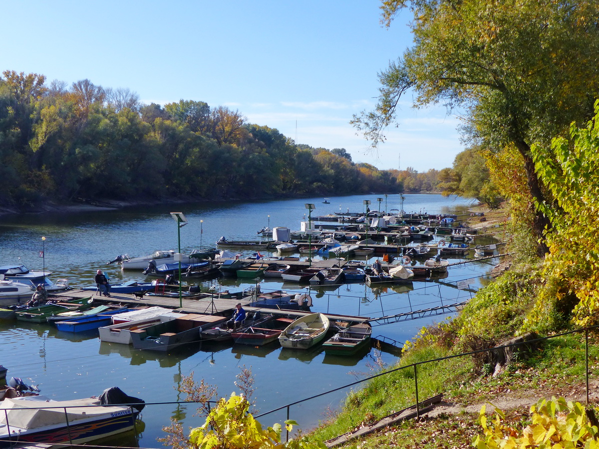 Elértem a csónakkikötő mólóit