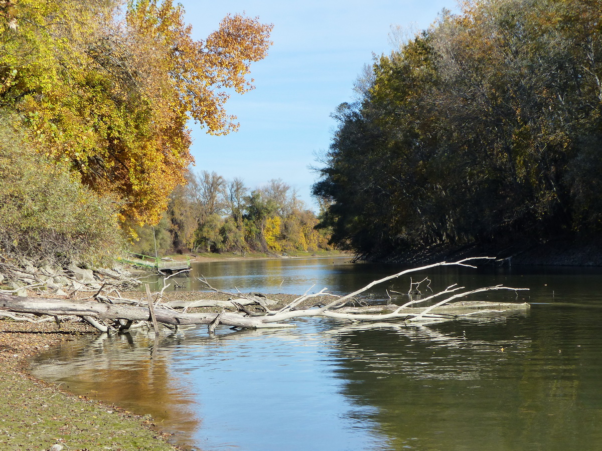 Visszatekintés a Hárosi-öbölre a Dunától
