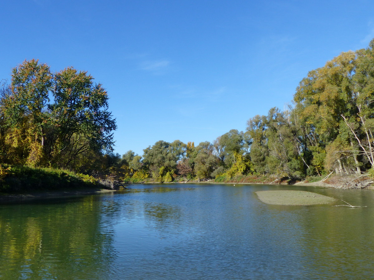 Csendes mellékág található a Kis-Hárosi-sziget mögött