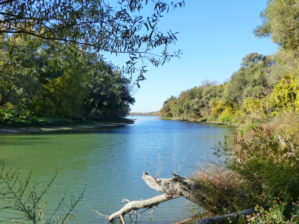 Kilátás a parti ösvényről a mellékágra