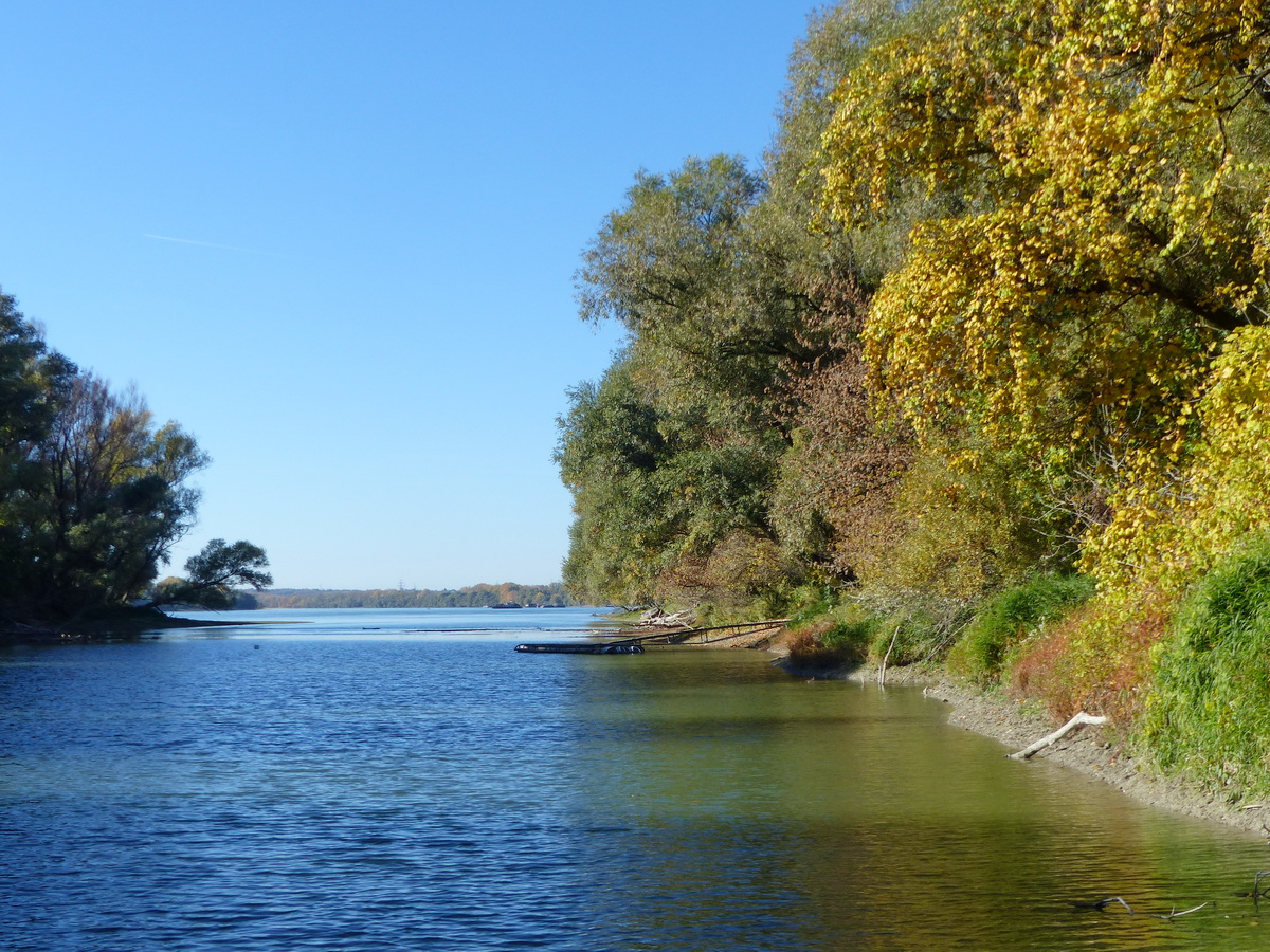Lassan elérem a mellékág déli végét