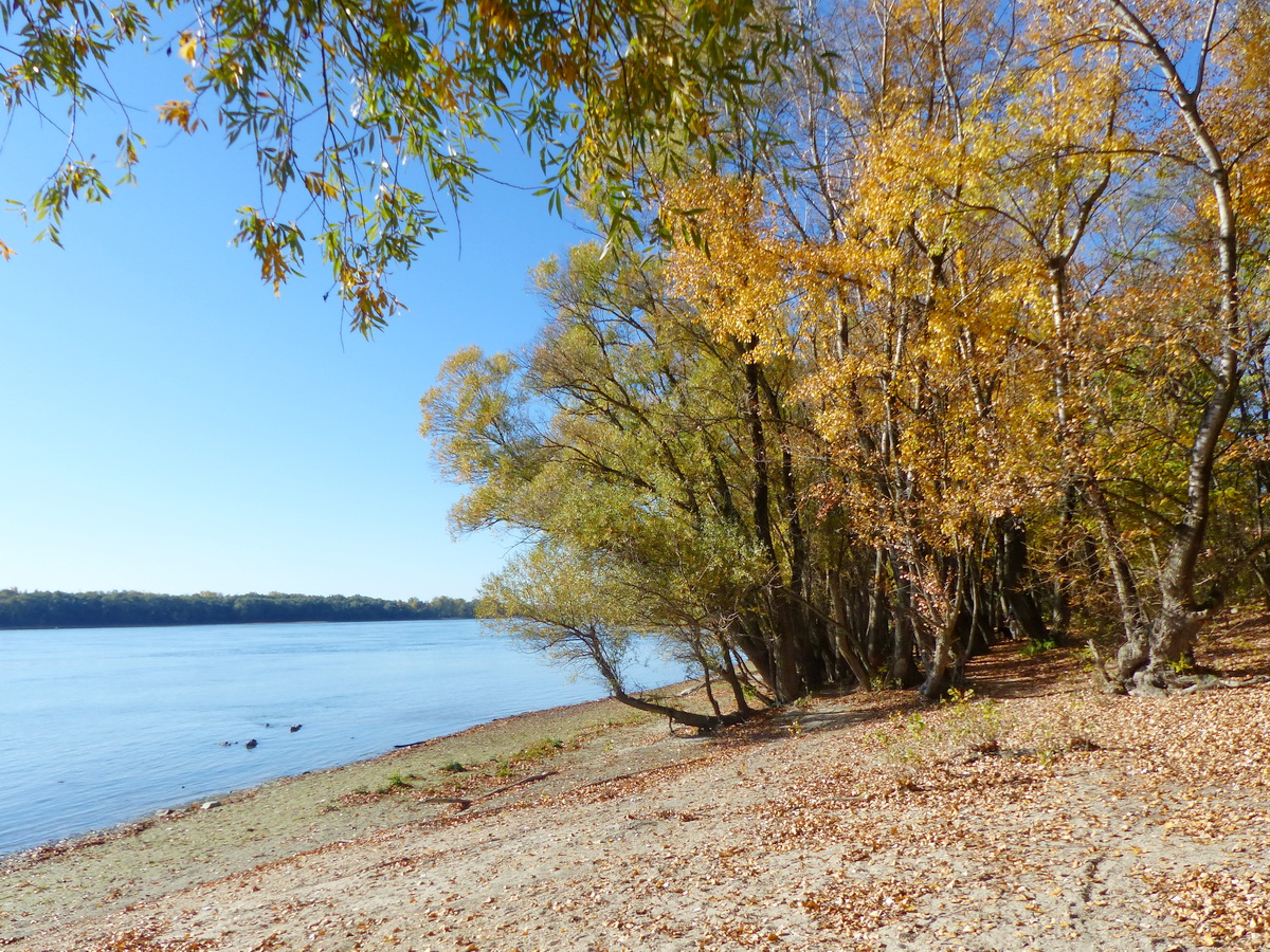 A KIs-Hárosi-sziget alsó végén ismét egy sóderes partszakasz következett