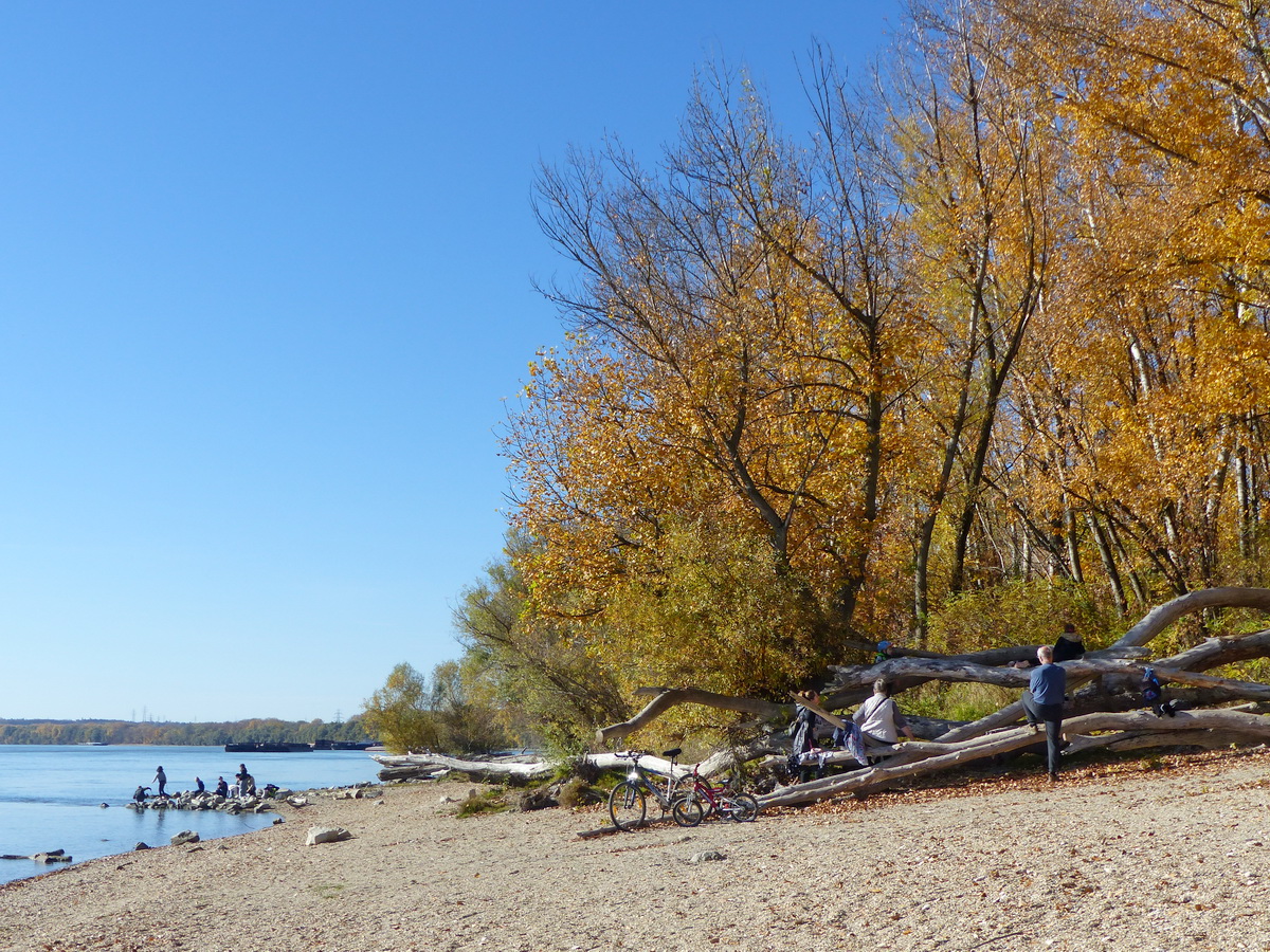 A nagytétényi szakaszon találkoztam a legtöbb kirándulóval, sétálgatóval