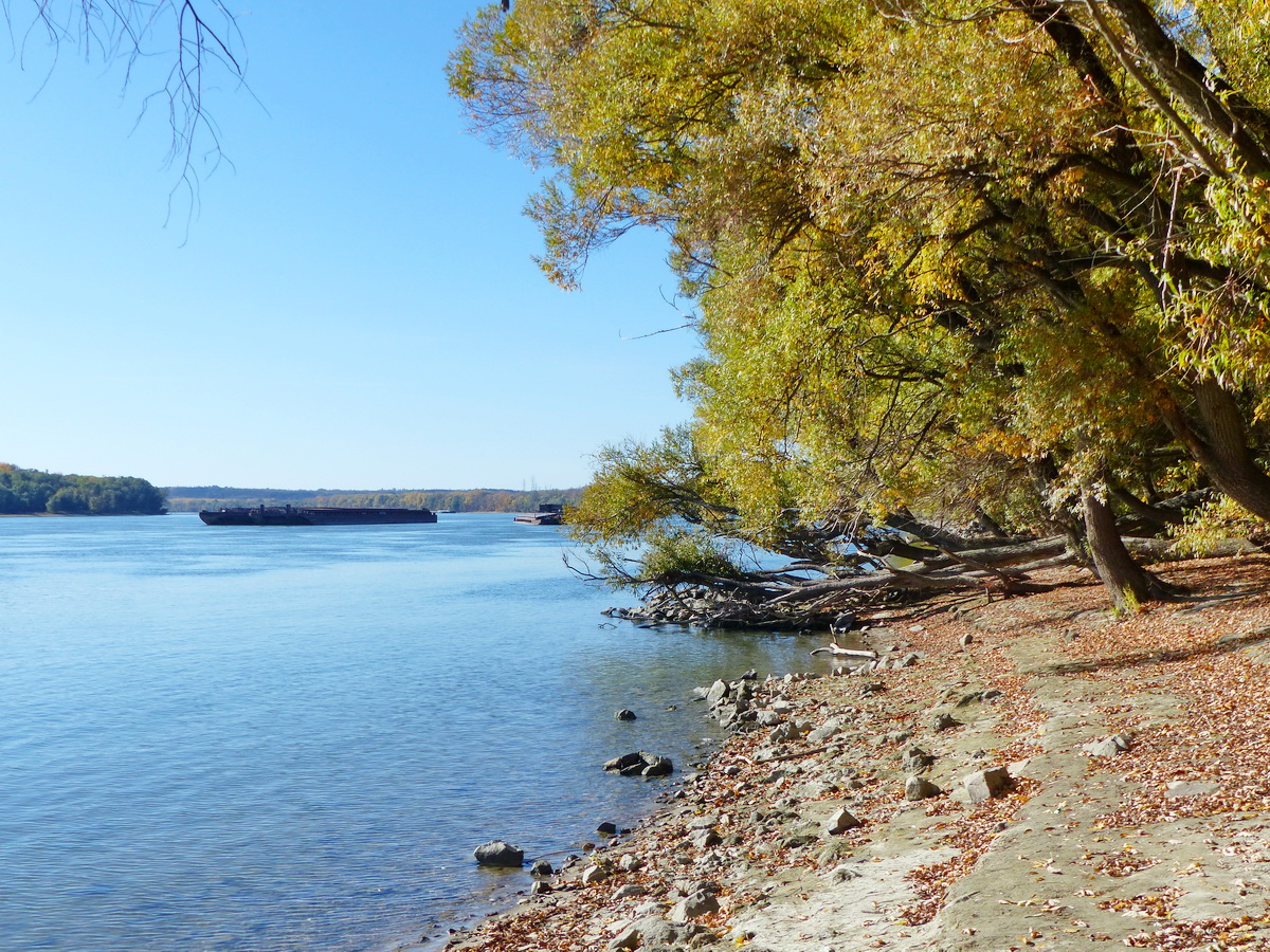A folyókanyarban feltűnt előttem a Sánc-hegy hosszú gerince