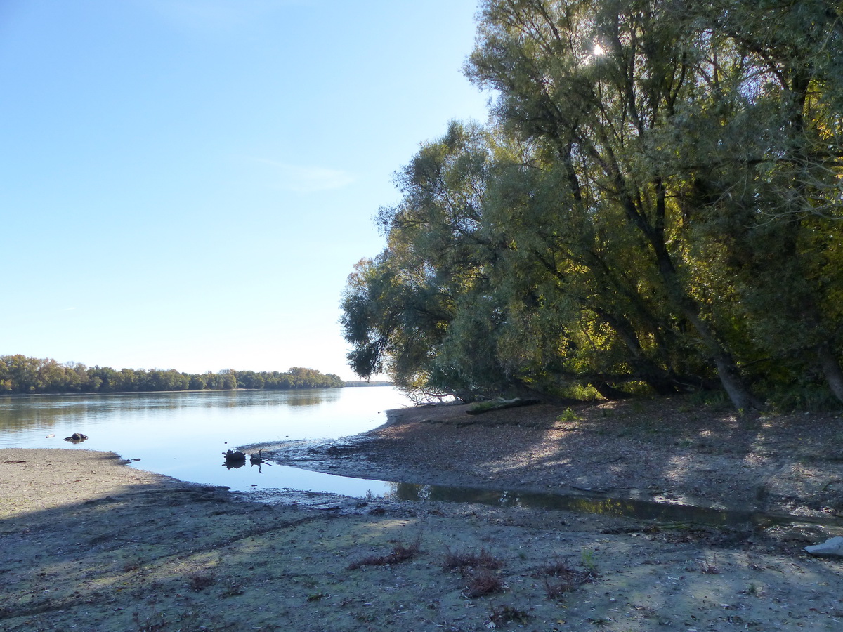 A Sulák-patak torkolata