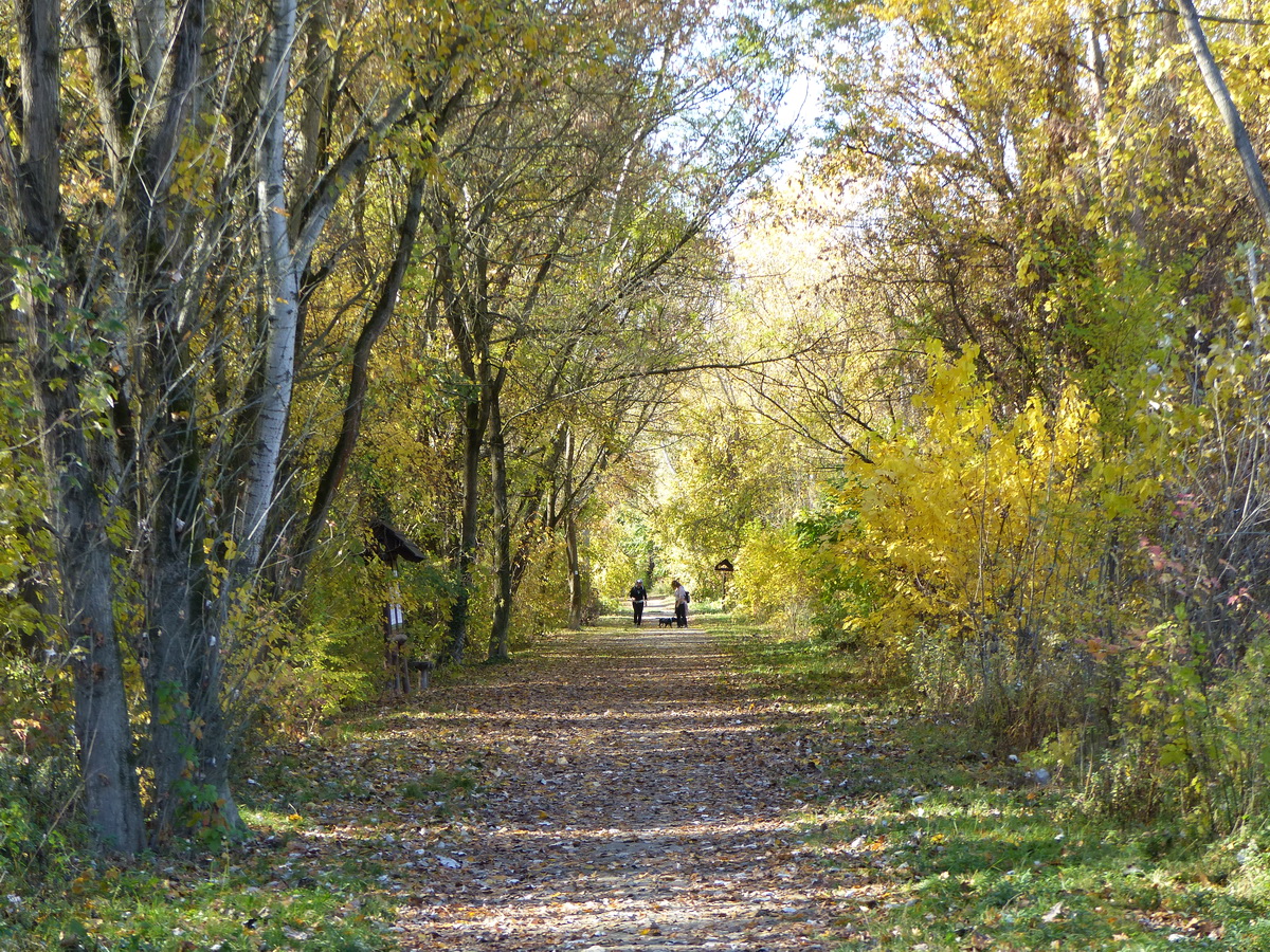 A Beliczay-sziget nyiladékában