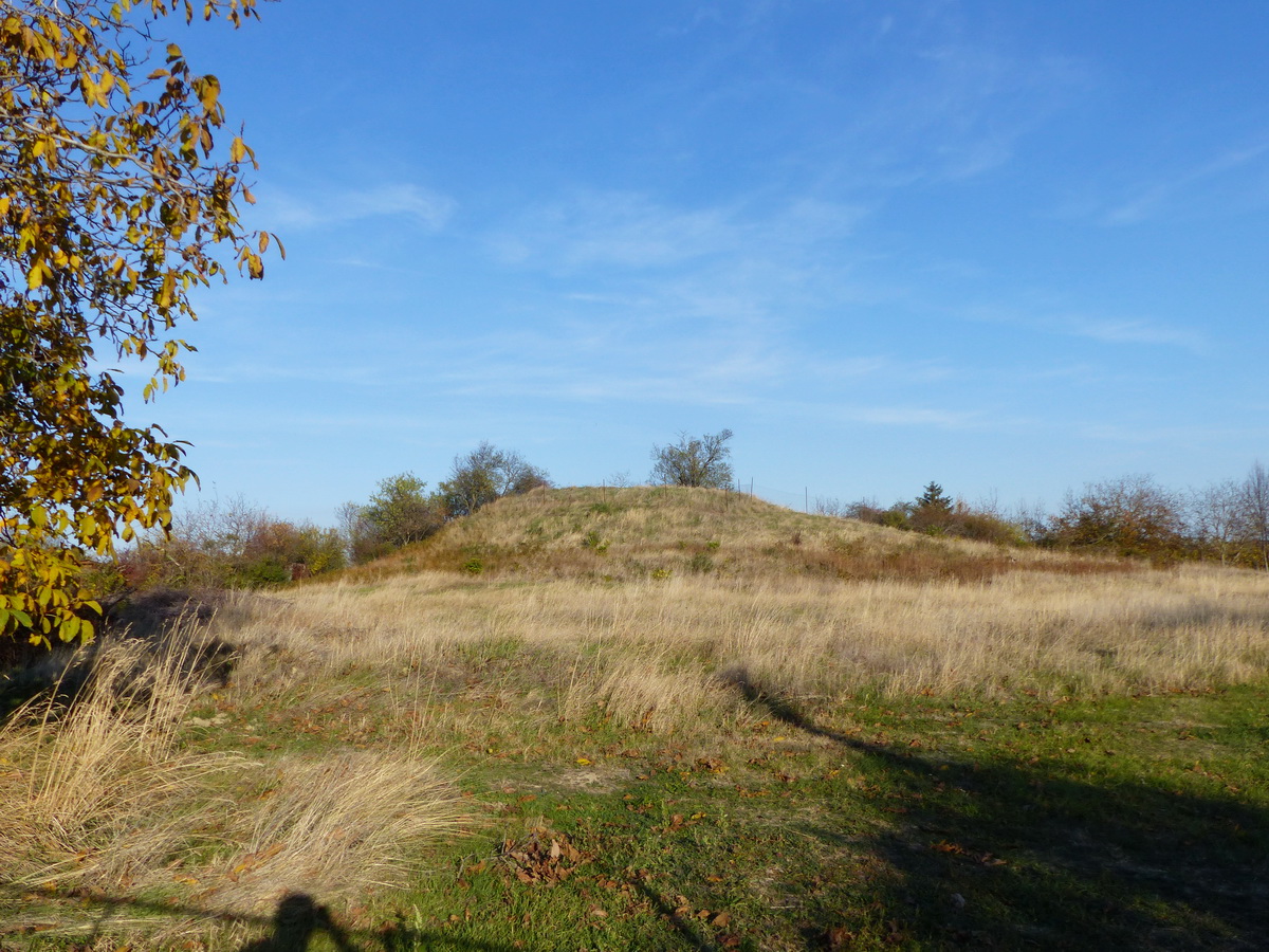 Halomsír a Régészeti Park területén