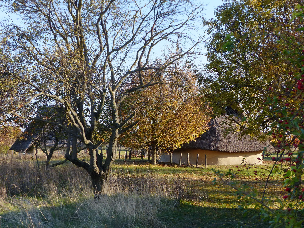 Visszaépítették a bronz- és vaskori település pár házát is