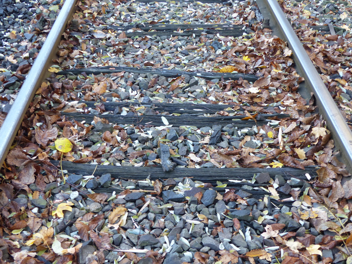 Korhadó talpfák. Vajon mennyire tarthatják még a síneket?