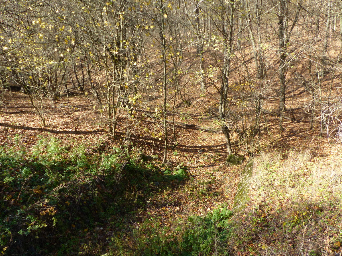 Teljesen száraz a Morgó-patak medre
