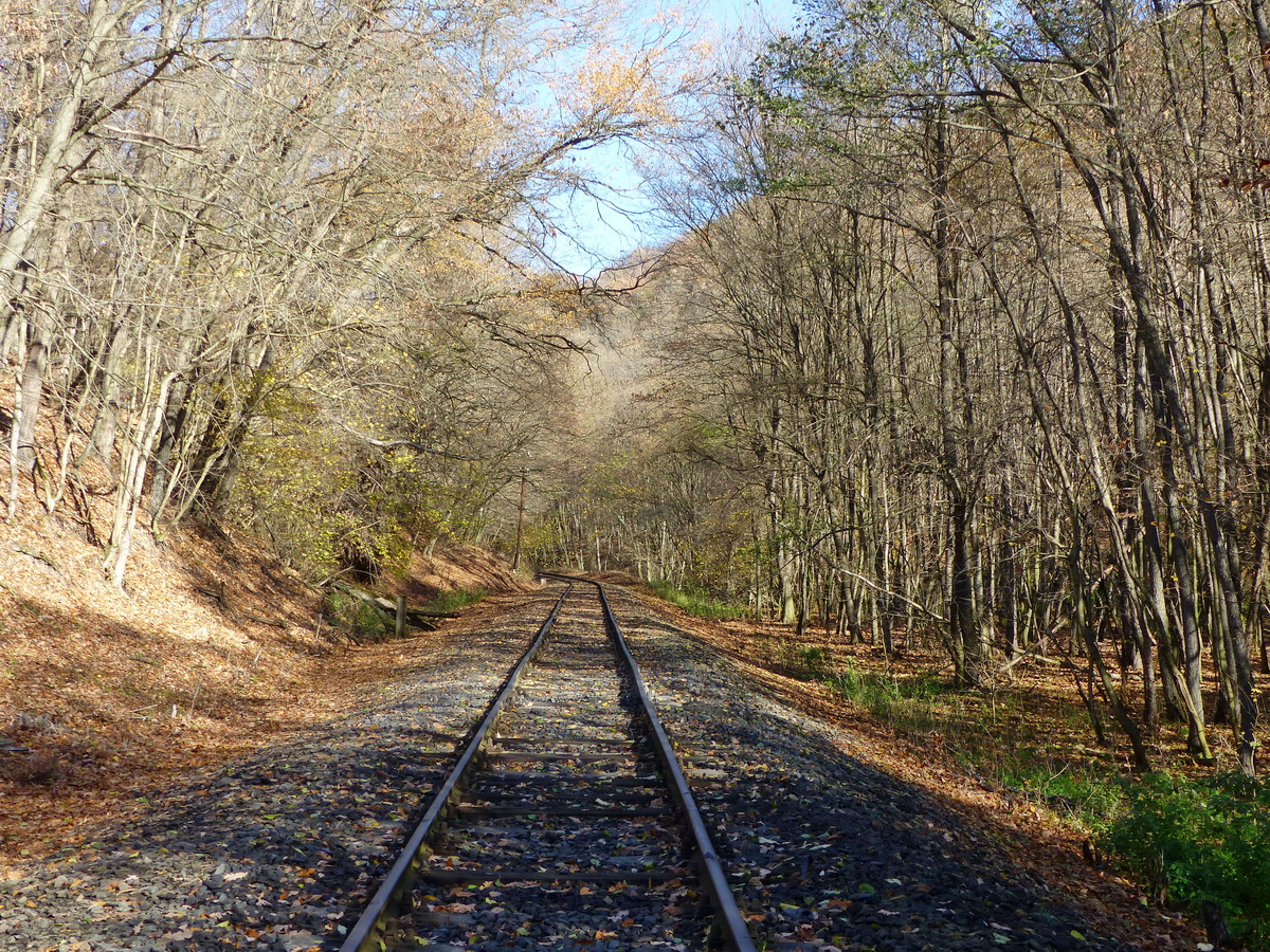 A Les-völgyben vezet a vasútvonal