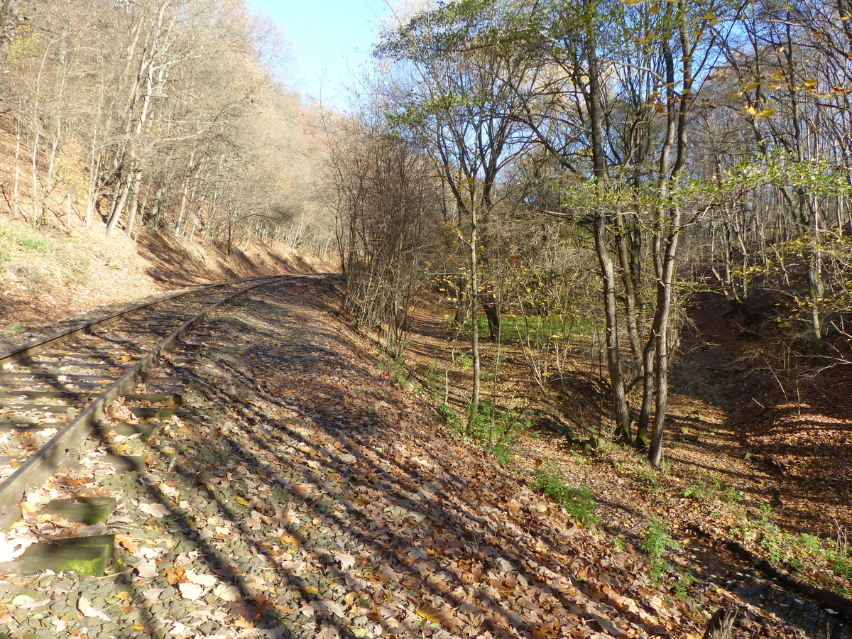 A sínek mellett kanyarog a patak medre