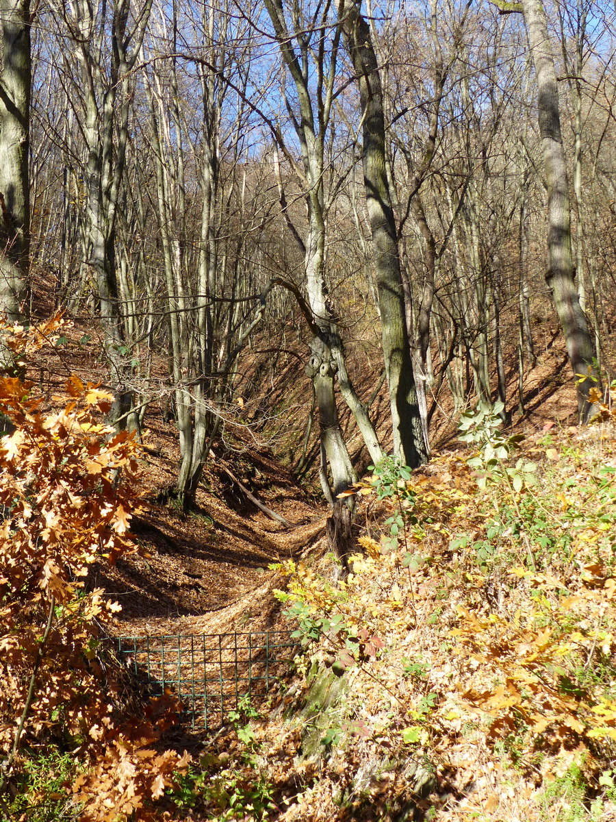 Rács védi a síneket a völgybe leguruló szikláktól