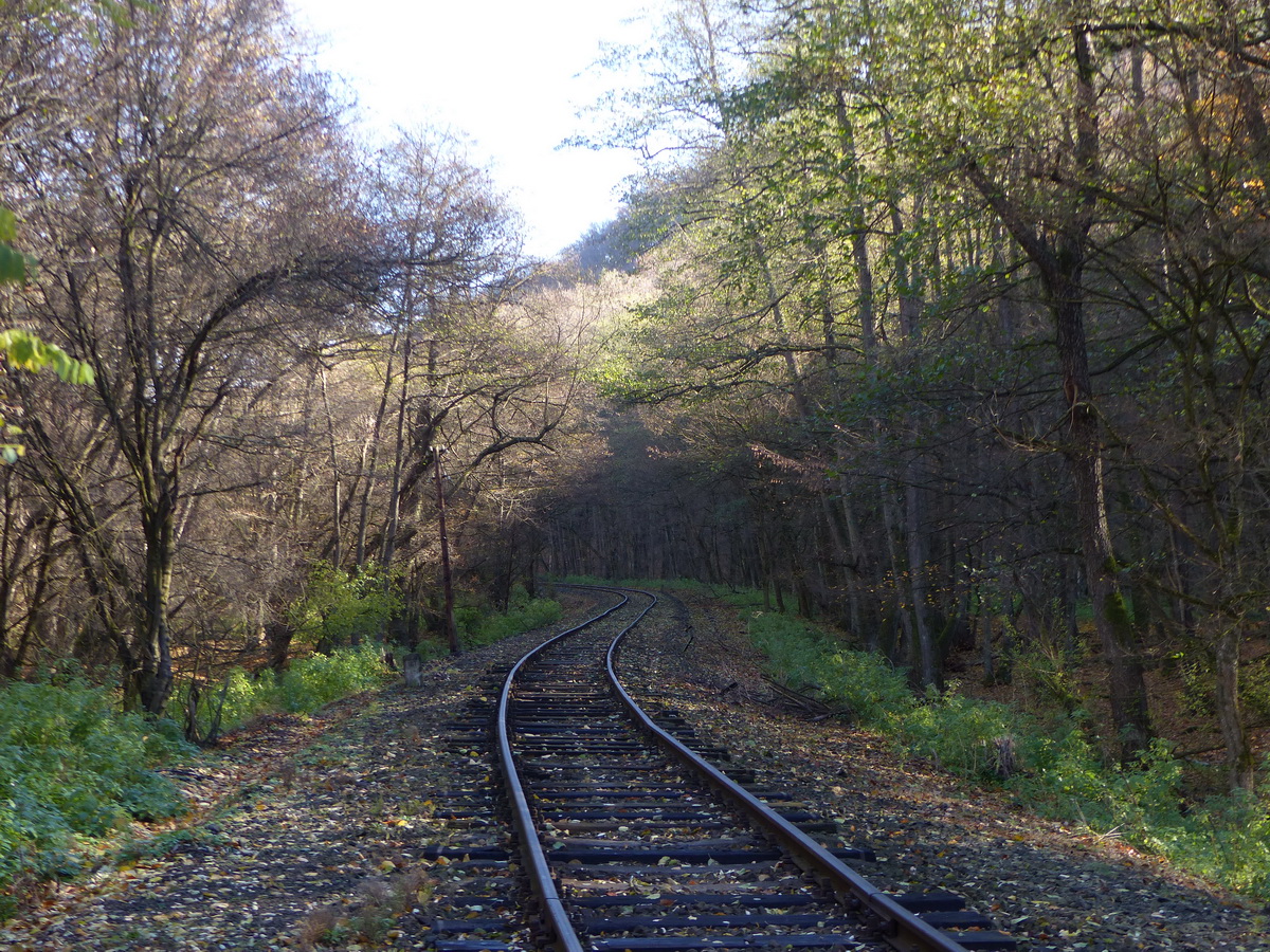 Egy méternyi egyenes nincs a vasúti pályában!