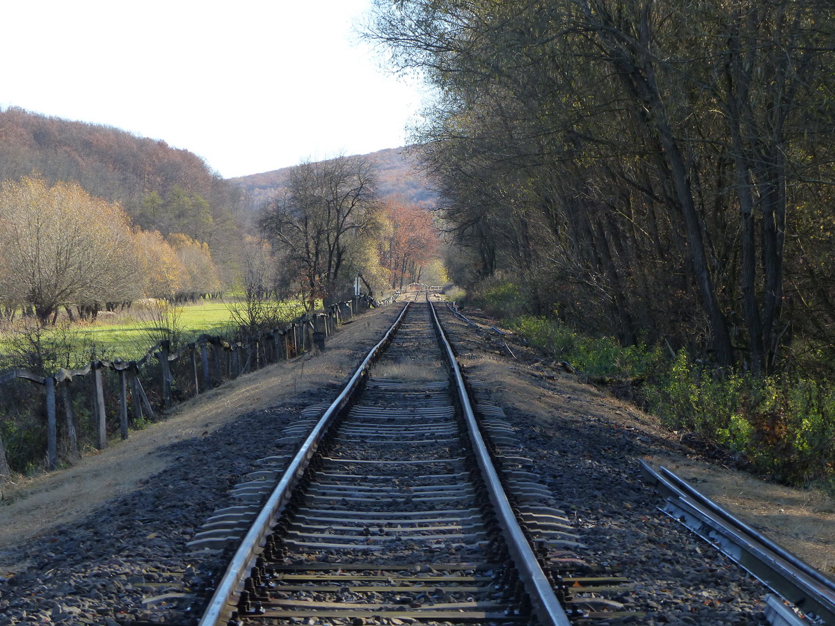 Elértem a Les-völgy hosszú rétjét. Errefelé cserélgethették régebben is korhadt talpfákat és a síneket.