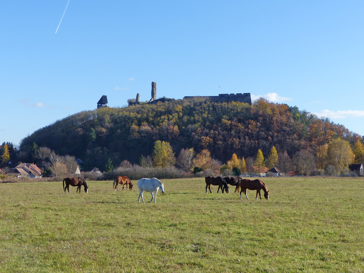 Visszatekintés Nógrád várára