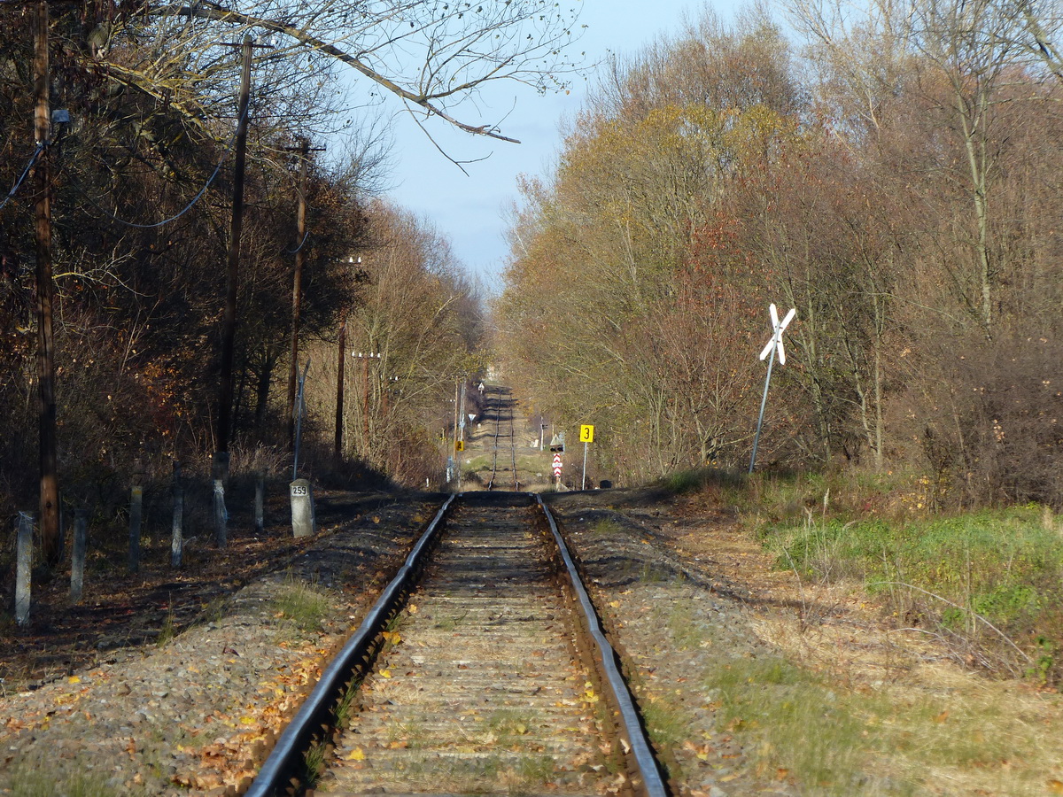 A hosszú egyenes végén érem majd el Diósjenőt