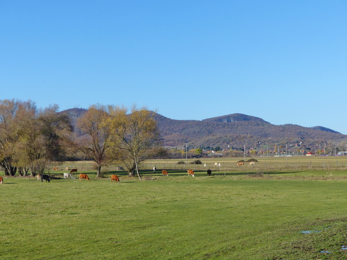 Egy utolsó kilátás a hegyekre már Diósjenő határából