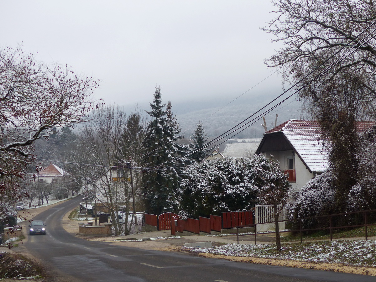 Ködbe burkolódzik a Pilis-tető erdős oldala