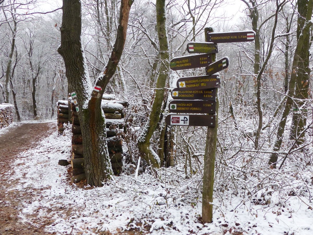 Turistaút csomópont az erdőszélen
