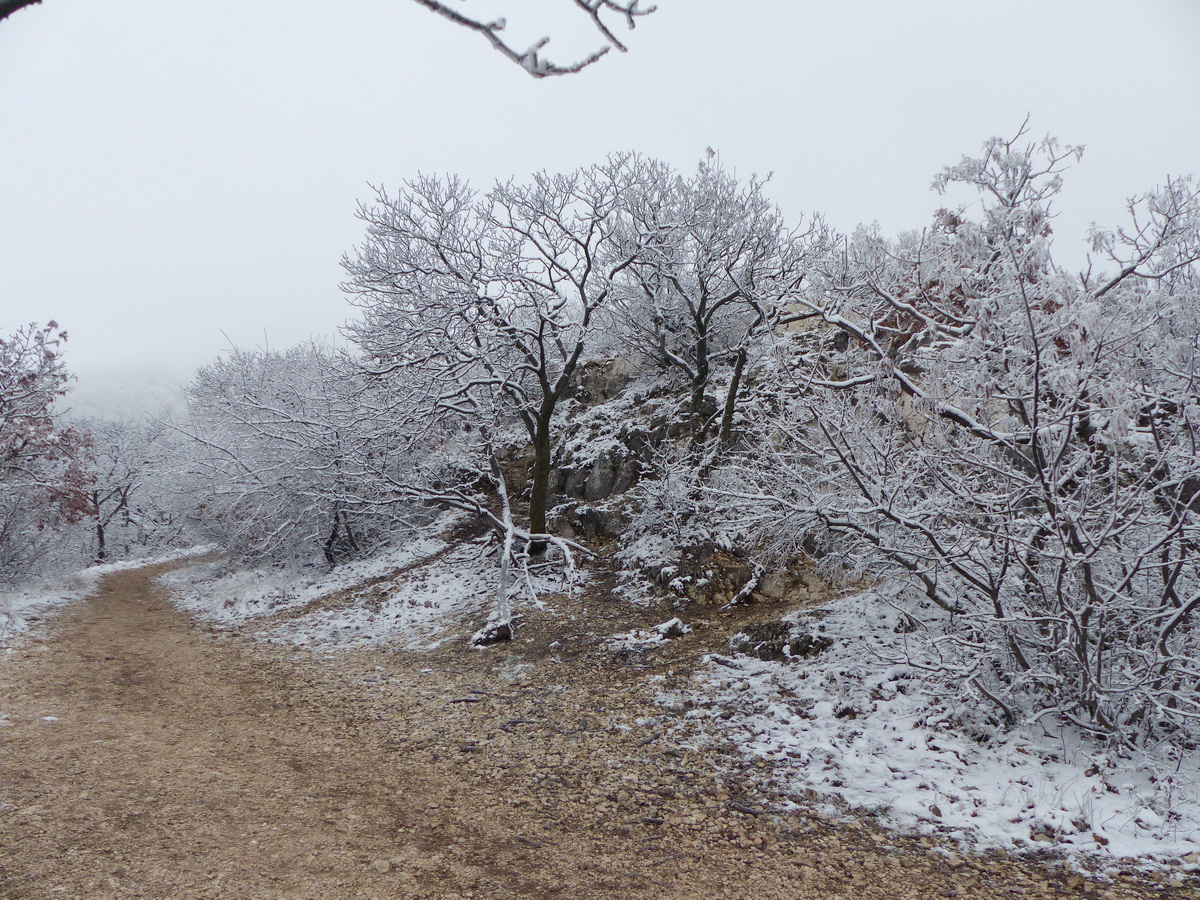 A Pilis-tető sziklás gerince