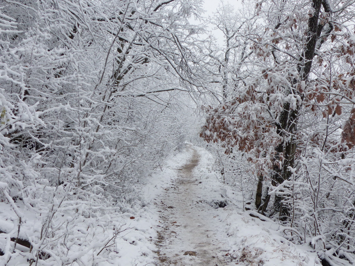 A Pilis-szerpentin gyalogútján
