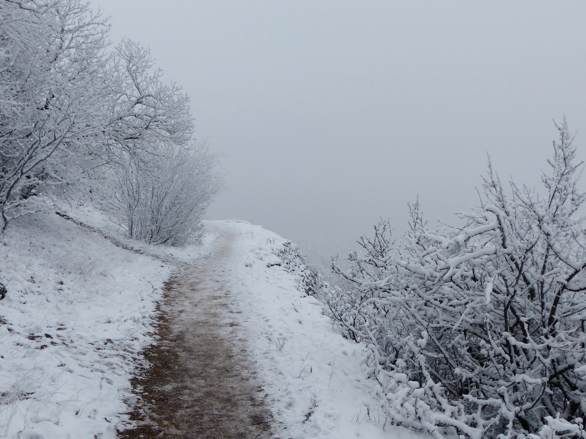 Kilátópont a ködben