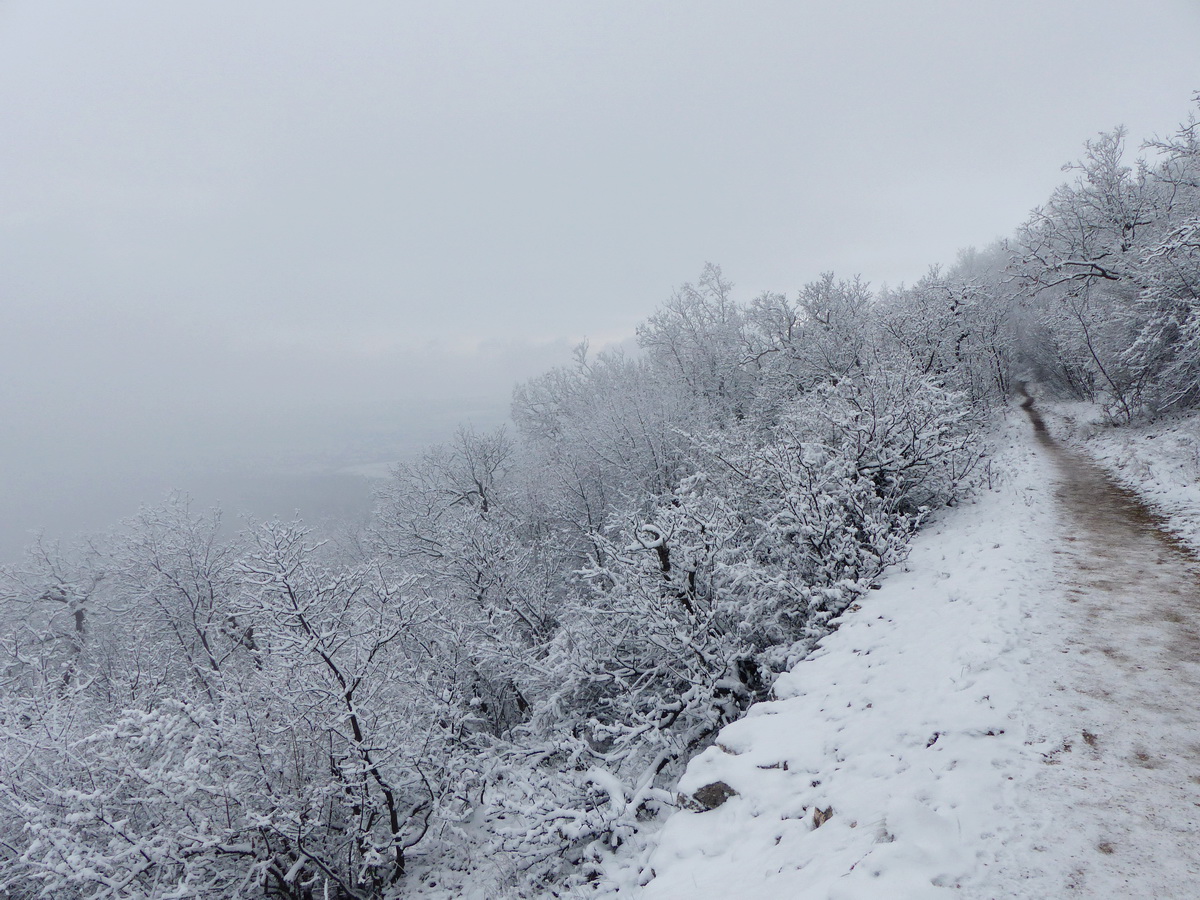 Visszafelé tekintve sem lehet sokat látni