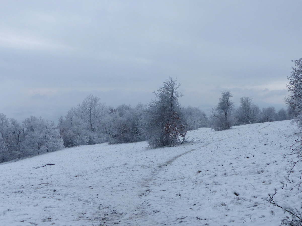 Ismét az Orosdy-réten. Kezd felemelkedni a köd.