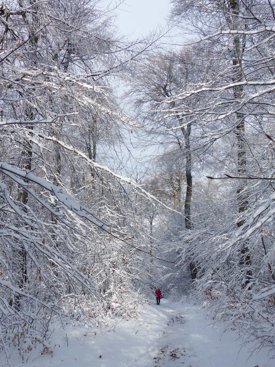 Az első szembejövő az úton