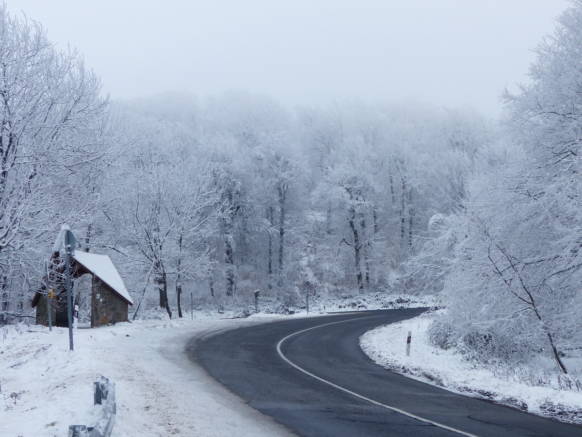 A Két-bükkfa-nyeregben. Jobbra a buszmegálló kő házikója áll az út szélén.