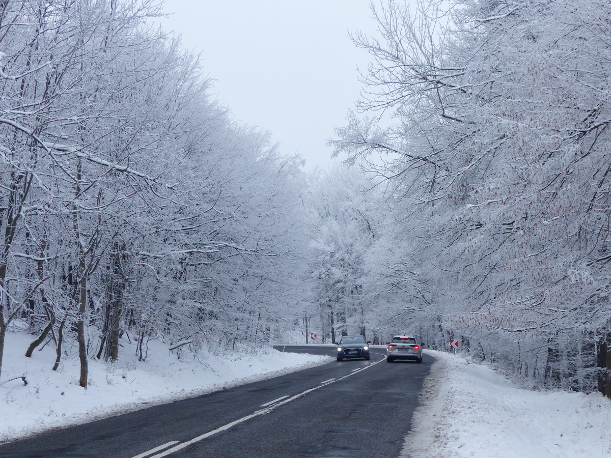 Többször is kereszteztem a Dobogókőre tartó aszfaltutat