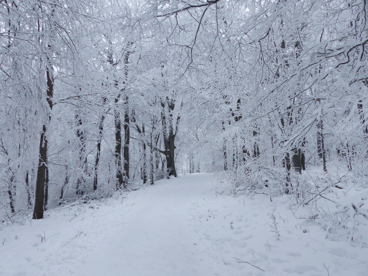 Errefelé még vastagabb volt a hótakaró