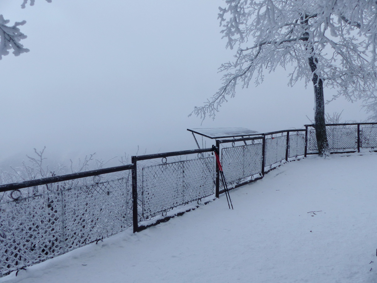 A köd miatt semmit sem láttam a Rezső kilátóból