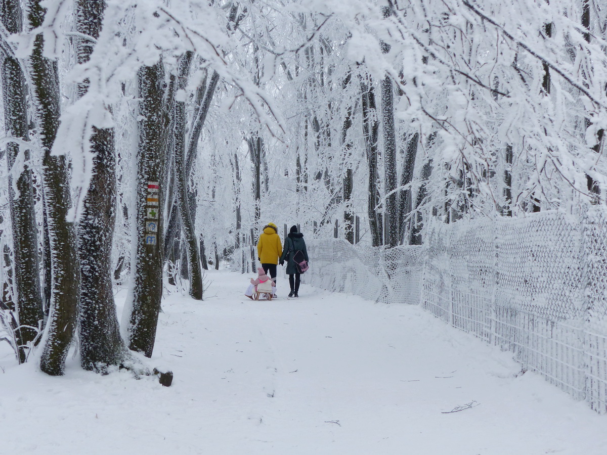 A dobogókői sétányon