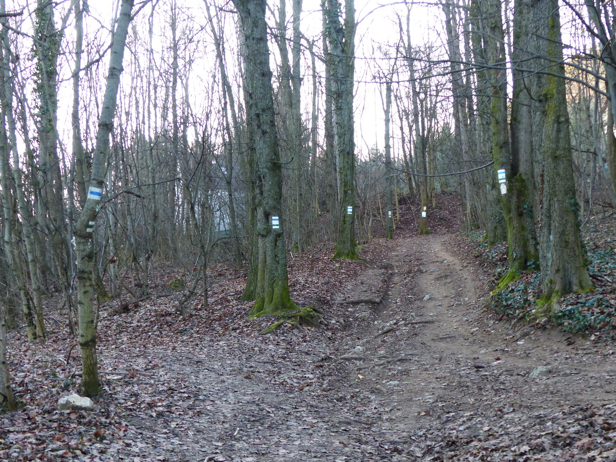 Ennél sűrűbben már nem lehet a turistajelzéseket felfesteni!