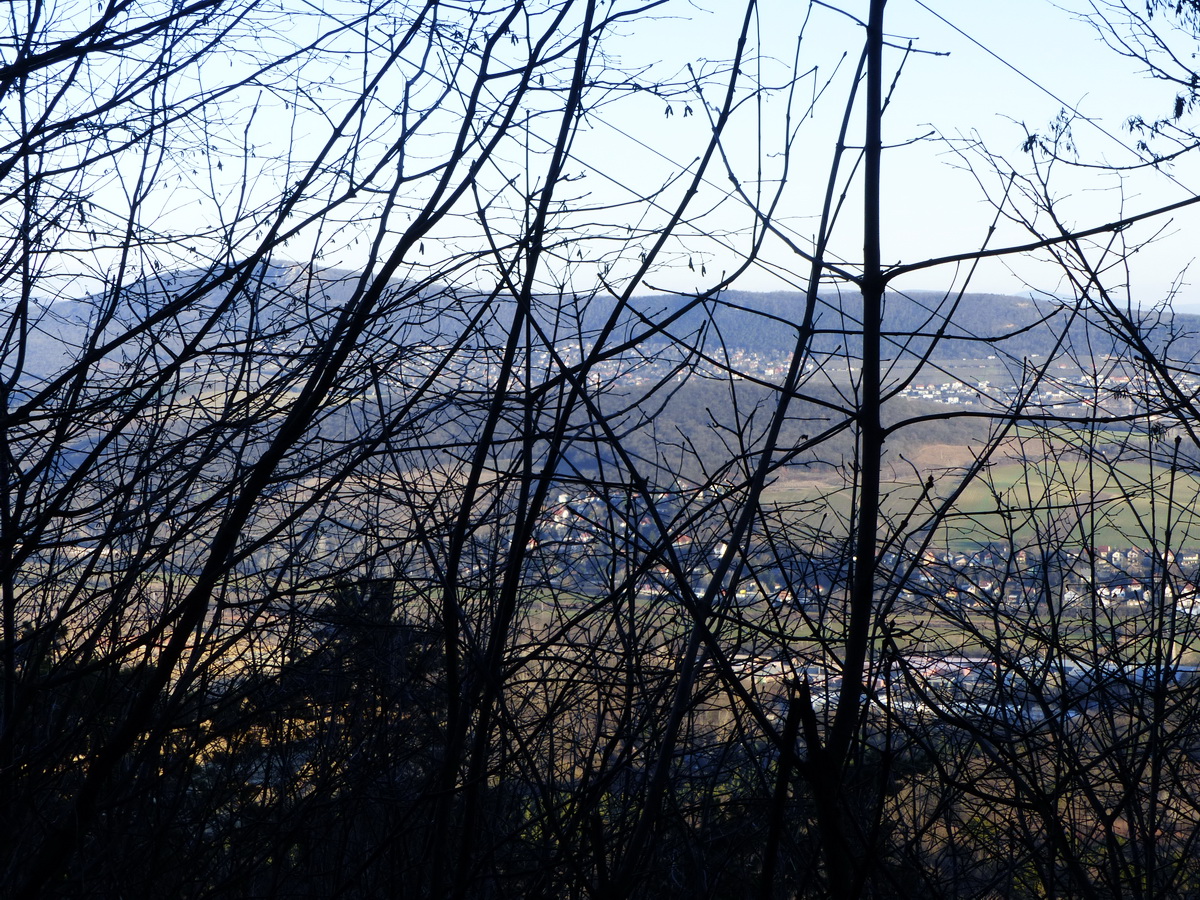 A távvezeték alól nyíló kilátást már benőtte a fiatal erdő