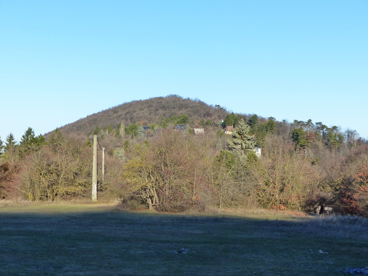 Kilátás a Csúcs-hegyre a Virágos-nyereg rétjéről