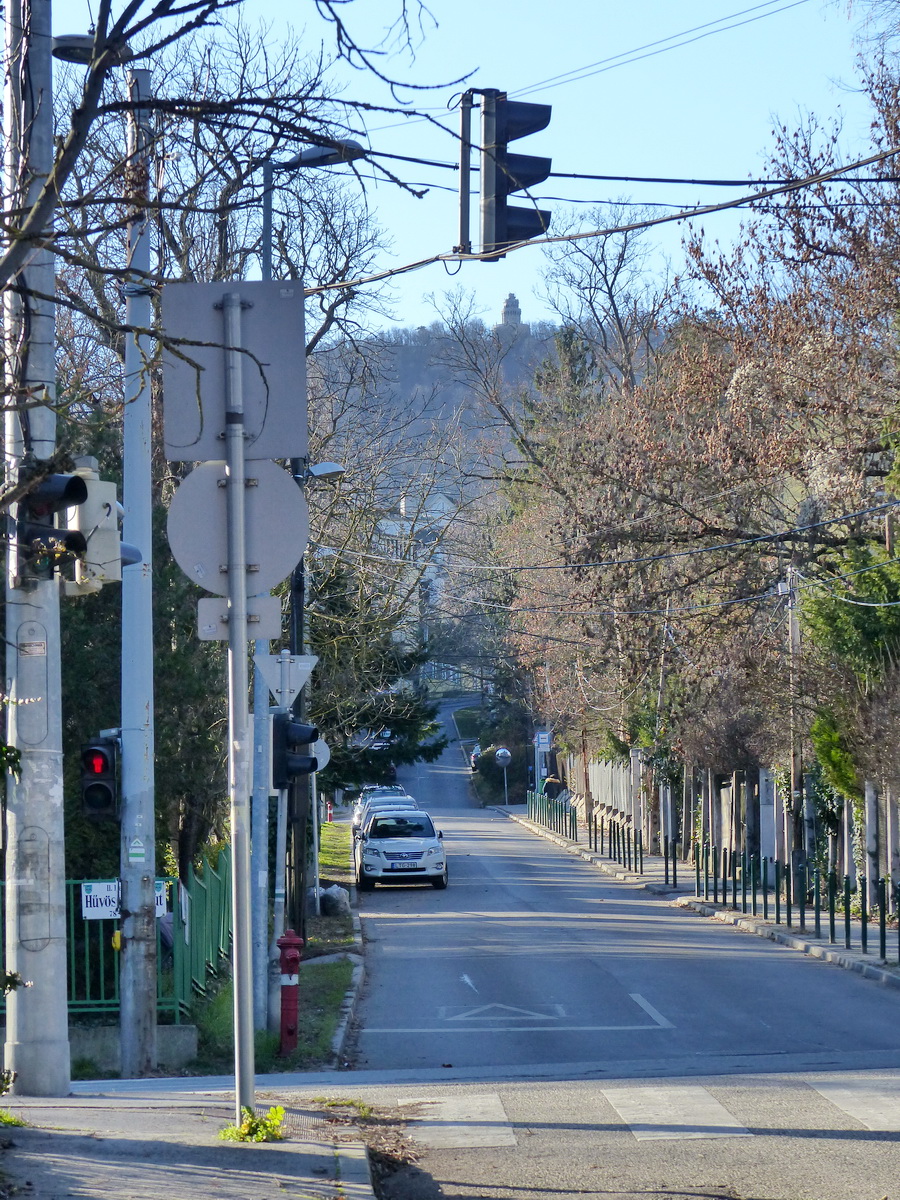 Előretekintés a Szerb Antal utcán a már közelinek tűnő Erzsébet kilátóra