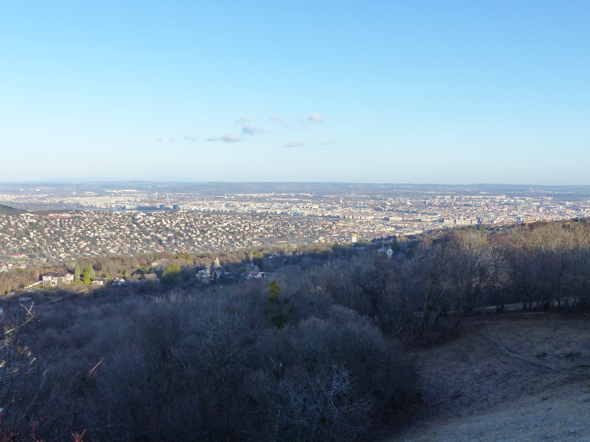 A Normafától is jól látszik a Belváros!