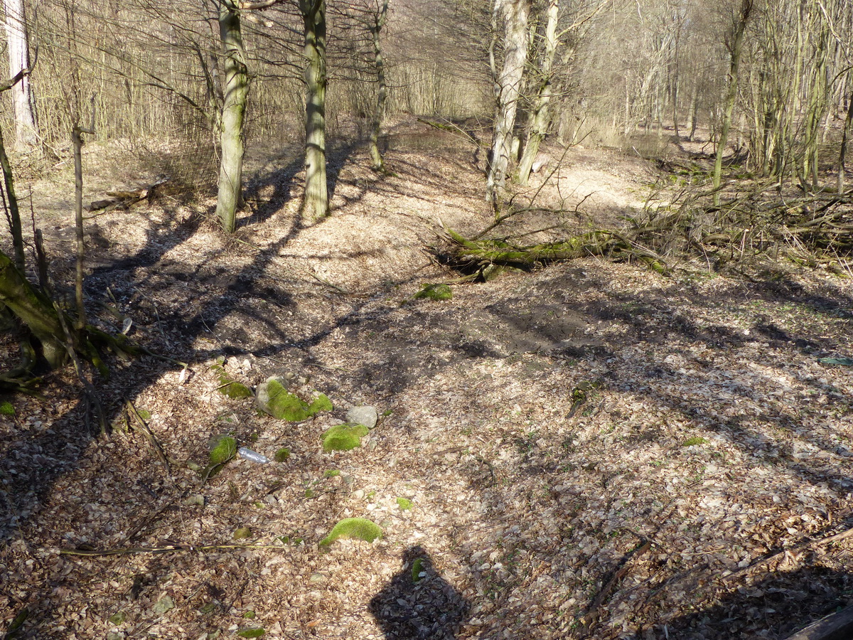 A teljesen kiszáradt Tarjáni-malompatak
