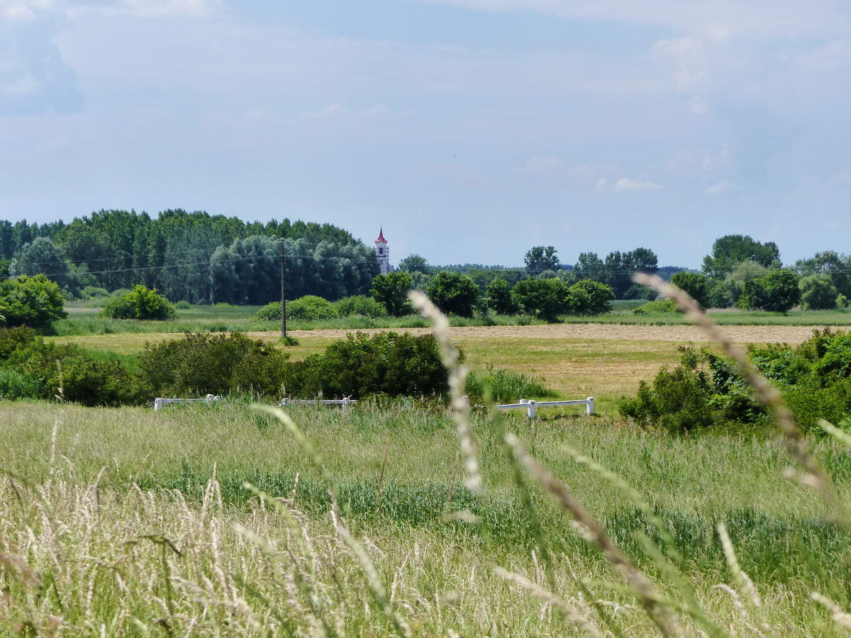 Kilátás Ároktő templomtornyára