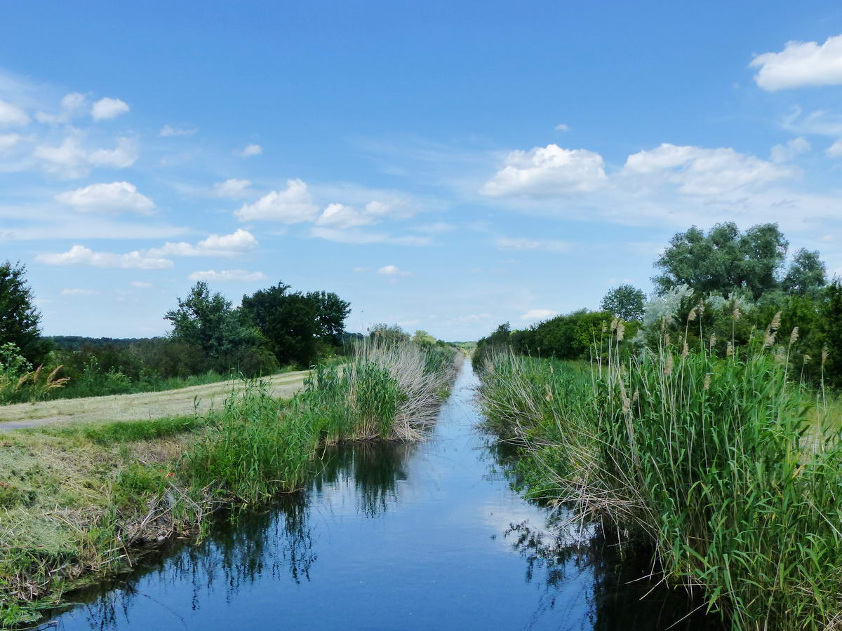 Kereszteztem a Nyugati-főcsatornát is