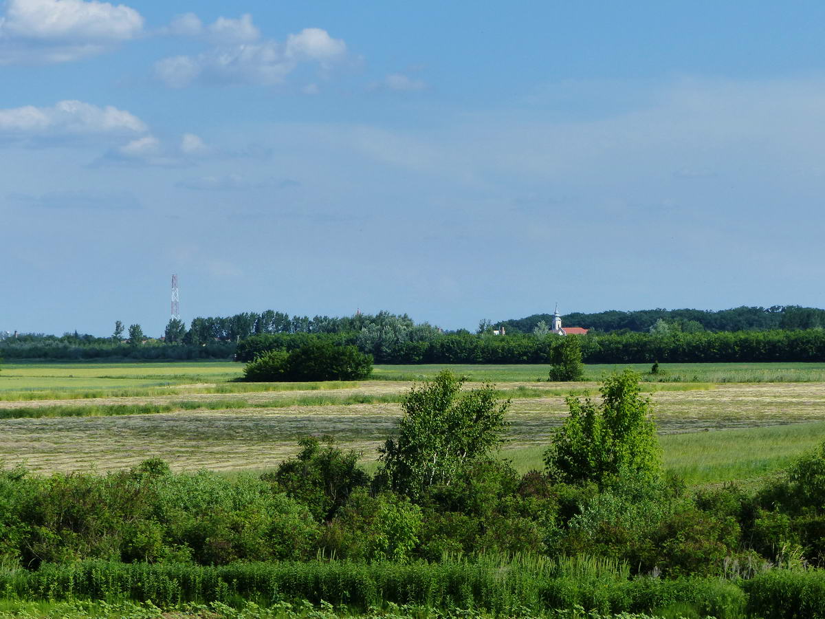 Visszatekintés a gátról Tiszacsegére