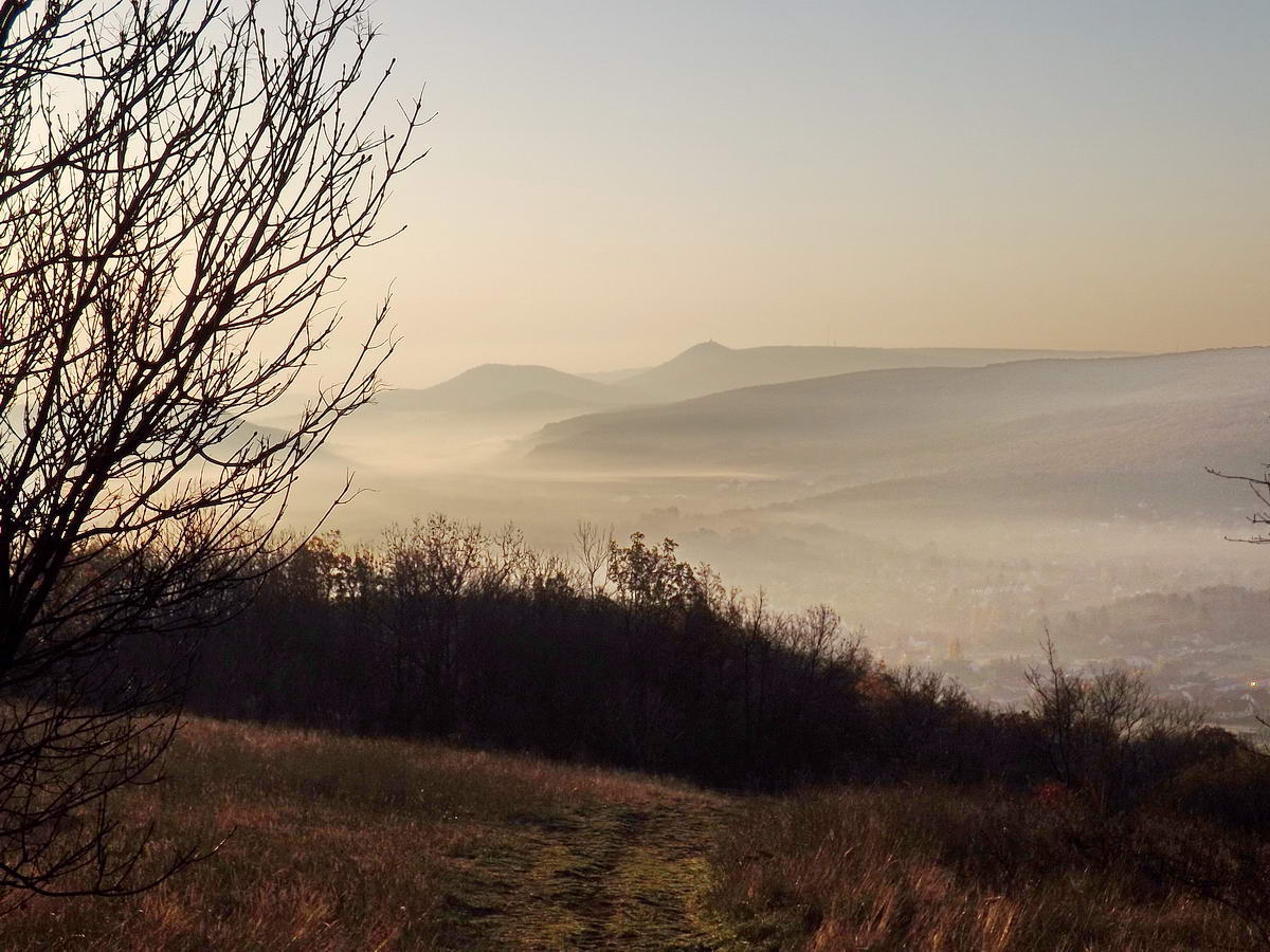 A Nagy-szénás oldalából készült felvételen Nagykovácsi völgyét ülte meg a köd