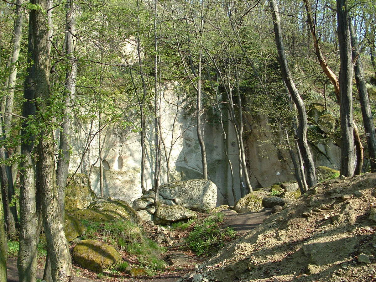 Ennek a sziklafalnak a tövében, illetve az itt nyíló barlangokban történtek a régészeti feltárások