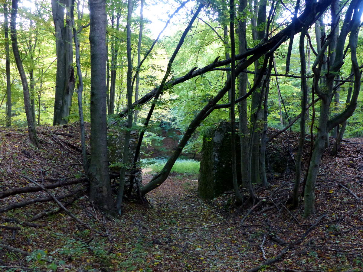 Egy elbontott hídnak csak a pillérjei maradtak meg az erdőben